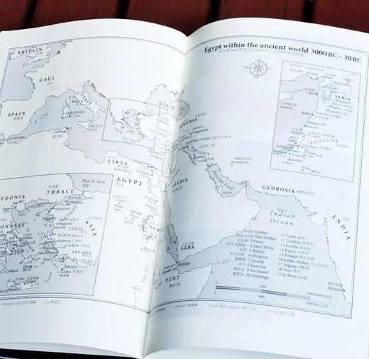 《埃及四千年：主宰世界历史进程的伟大文明》，精装，16开，[英]乔安.弗莱切著，浙江文艺出版社2020年一版九印，414页，定价118，售价53元。 商品图3