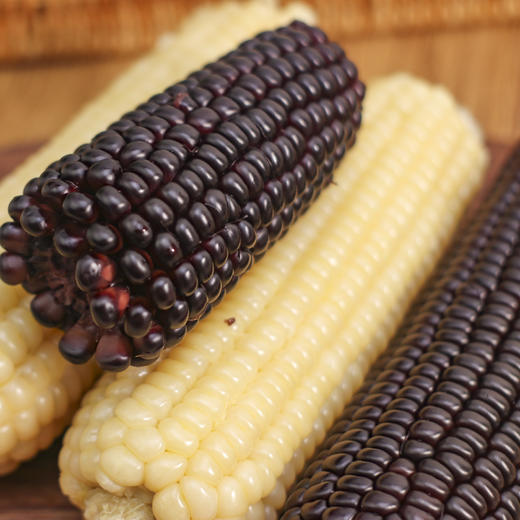 山西有机甜糯玉米 | 采收季3小时锁鲜 给你98%的鲜甜 黑玉米富含花青素白玉米香甜鲜糯 商品图3