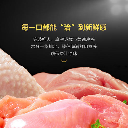 RAMICAL/雷米高赛极号10kg宠物全价全期犬粮冻干易消化低敏营养犬粮 商品图2