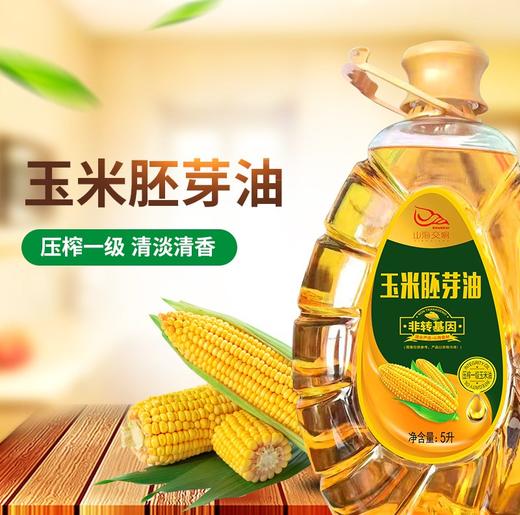 0593【国企严选，山海食材】玉米胚芽油5L 商品图0