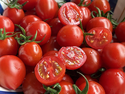 【釜山88小番茄】无药残留、自然成熟采摘，清甜爽口，果相优越，果肉细腻紧实，每一口都甜到心坎里-CC 商品图5