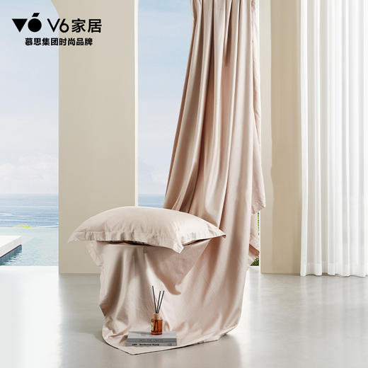 QFZ1-068 似水流年/复古橡粉色/床单款四件套 商品图2