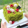 【青苔小蘑菇蛋糕】 商品缩略图2