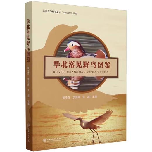 华北常见野鸟图鉴 2166 崔多英,李言阔,张超 中国林业出版社 商品图0
