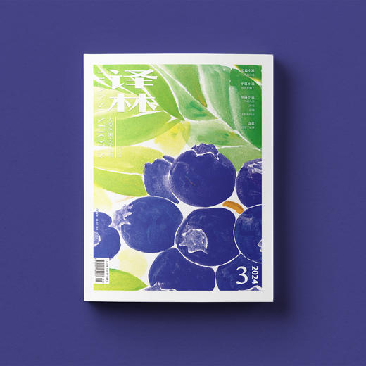 2024年《译林》杂志 第3期 商品图7