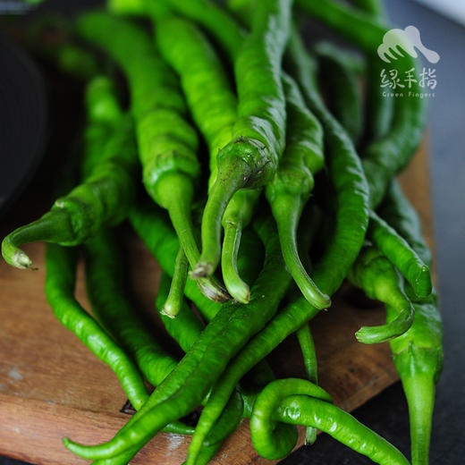 生态线椒 | 绿家自产*Ecological cayenne pepper | Self-production 商品图3