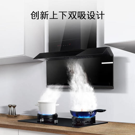 博世/烟机/DSF98CC61W 商品图0