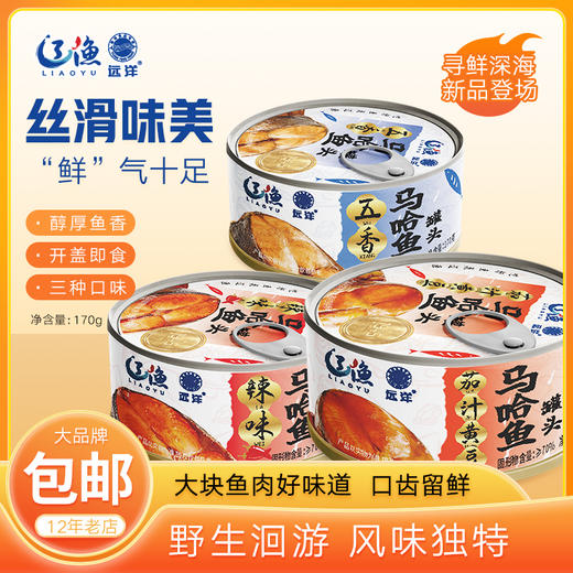 辽渔远洋170g马哈鱼罐头 商品图0