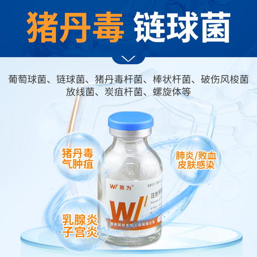 赛为注射用青霉素钾兽用400万单位猪牛羊抗菌消炎药头孢兽药针剂 商品图2