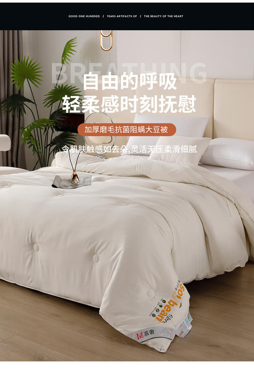 抗菌阻螨大豆被 商品图1