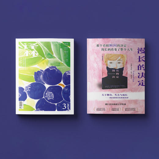2024年《译林》杂志 第3期 商品图8