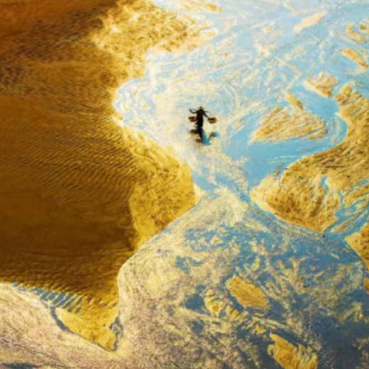 霞浦滩涂二日游 商品图0