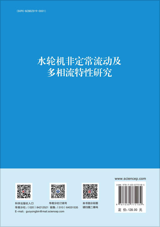 水轮机非定常流动及多相流特性研究 商品图1