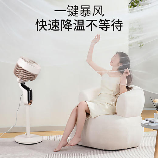 Abereve 艾贝丽360°智能语音空气循环扇ABL-FS2102 商品图2