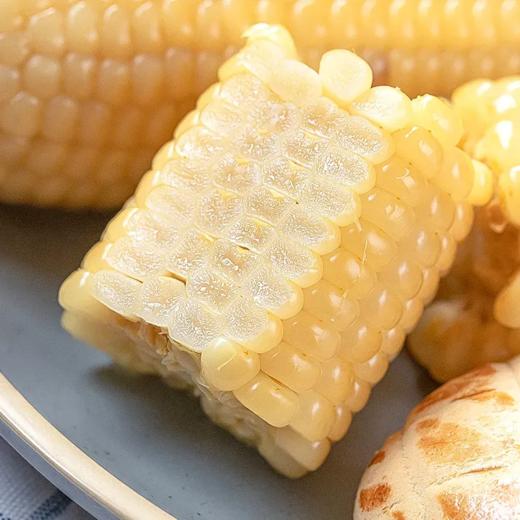 山西有机甜糯玉米 | 采收季3小时锁鲜 给你98%的鲜甜 黑玉米富含花青素白玉米香甜鲜糯 商品图1