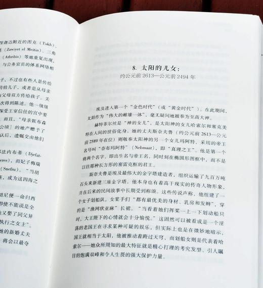 《埃及四千年：主宰世界历史进程的伟大文明》，精装，16开，[英]乔安.弗莱切著，浙江文艺出版社2020年一版九印，414页，定价118，售价53元。 商品图10