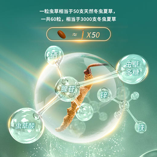 【肾肺两益】【净肺顺鼻】Scenkan美国进口冬虫夏草片 虫草菌丝体优质送礼滋补品 商品图4
