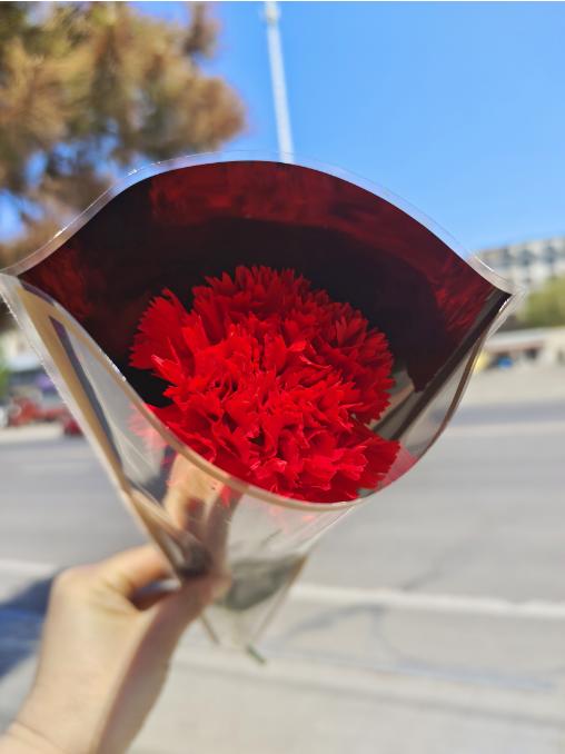 单支红色康乃馨花束3支 商品图0