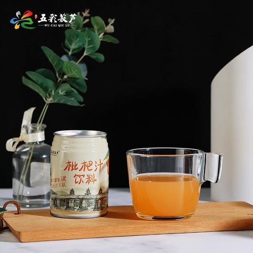 0594【国企严选，山海食材】莆田五彩秋芦批把四宝礼盒装 商品图1