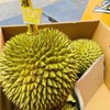 小马哥泰国金枕榴莲 树熟榴莲 35元一斤 商品缩略图5
