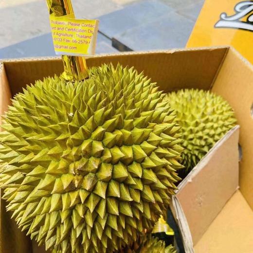 小马哥泰国金枕榴莲 树熟榴莲 35元一斤 商品图5