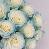 厄瓜多尔进口花材white sky白色天空玫瑰花10支 商品缩略图2