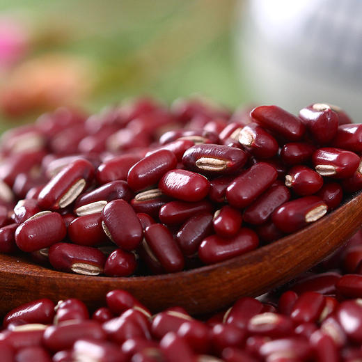 燕之坊 长粒赤小豆420g 商品图4