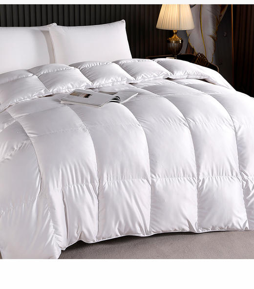 皓月羽绒被 商品图2