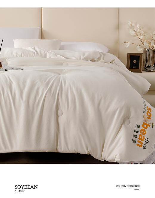 抗菌阻螨大豆被 商品图2