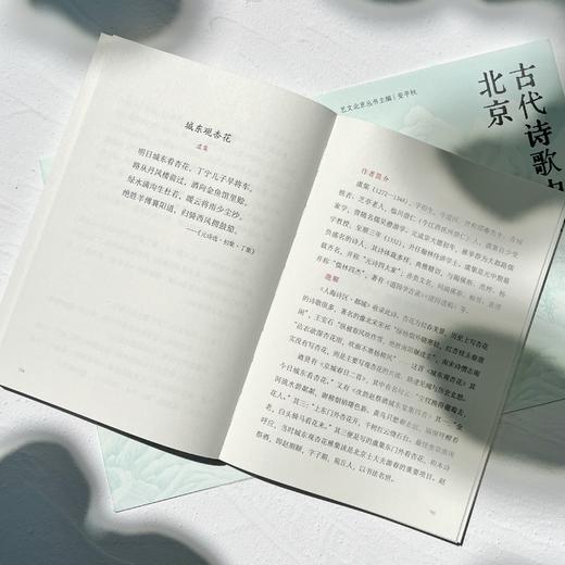 艺文北京丛书-古代诗歌中的北京   文津出版社 商品图7