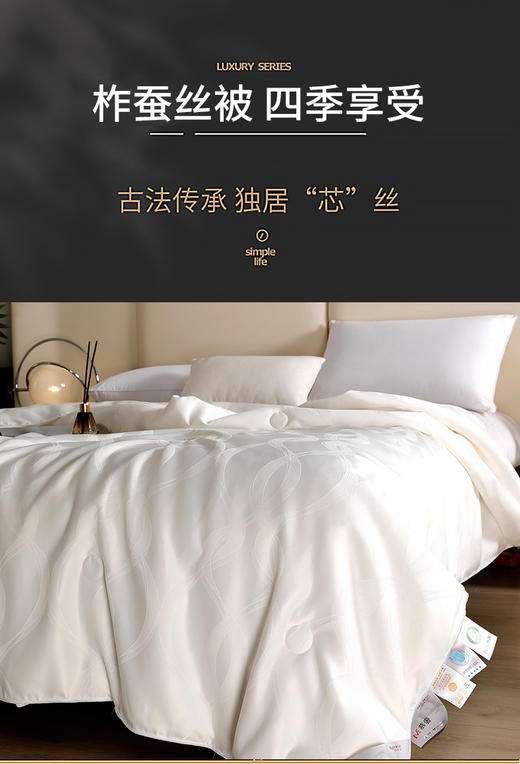 风雅贡缎提花蚕丝被 商品图1