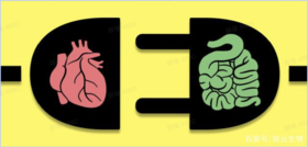 专家说：为什么说小肠与心相表里？