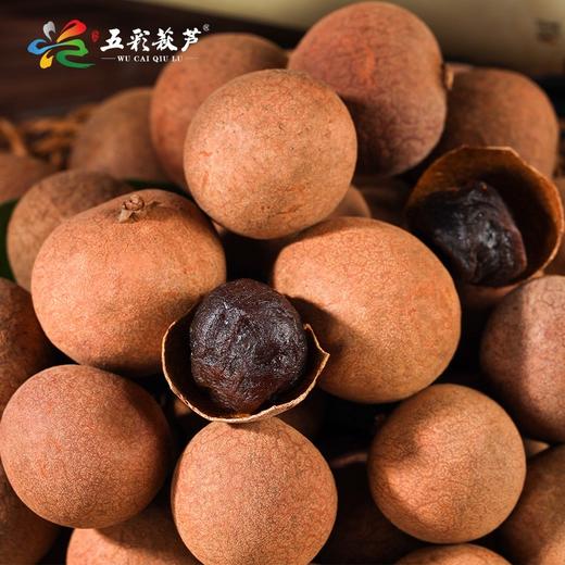 0594【国企严选，山海食材】莆田五彩秋芦五福桂圆260g*2礼盒装 商品图0