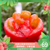 【活动】新疆吐鲁番草莓西红柿  一款能当水果吃的西红柿  新疆番茄 商品缩略图0