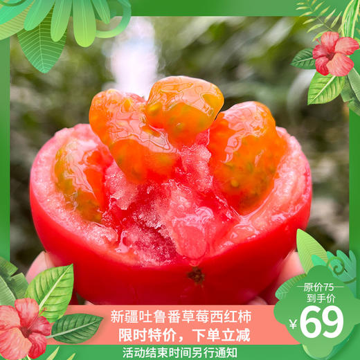 【活动】新疆吐鲁番草莓西红柿  一款能当水果吃的西红柿  新疆番茄 商品图0