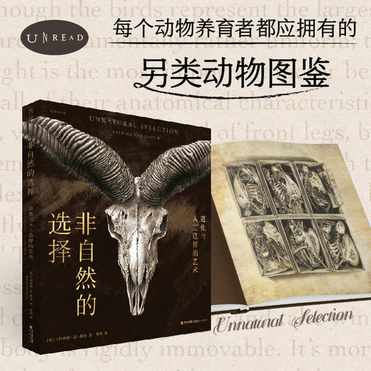 羽下之鸟+非自然的选择（套装/单本）【重磅新品】 商品图1