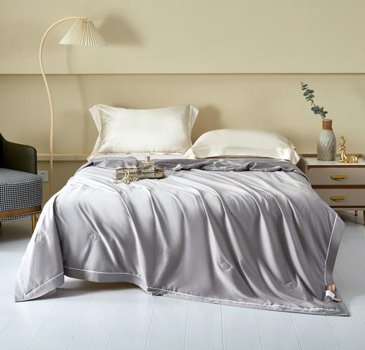 维科琼芳水洗天雪棉双宫桑蚕丝夏被 商品图4