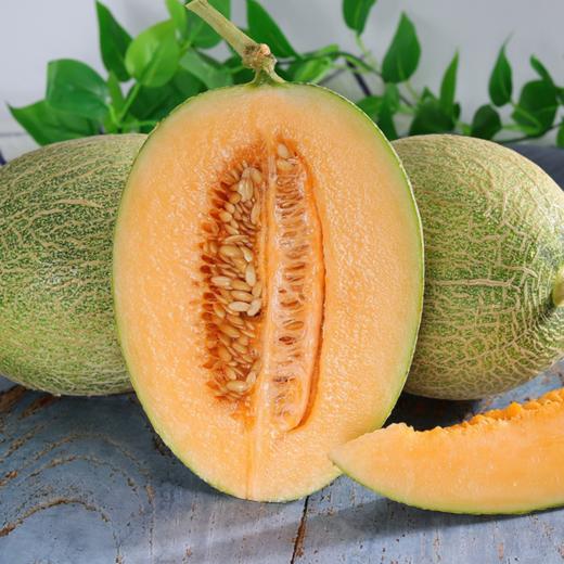 新疆吐鲁番【火焰山哈密瓜】西州蜜25号 酥脆可口 爆甜汁多 肉厚皮薄 皇家贡品 产地直发 商品图0