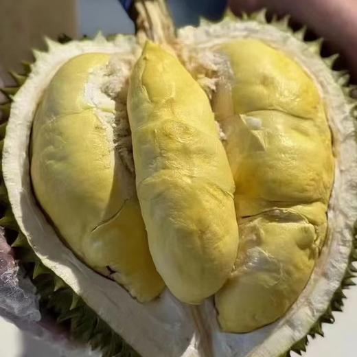 小马哥泰国金枕榴莲 树熟榴莲 35元一斤 商品图1