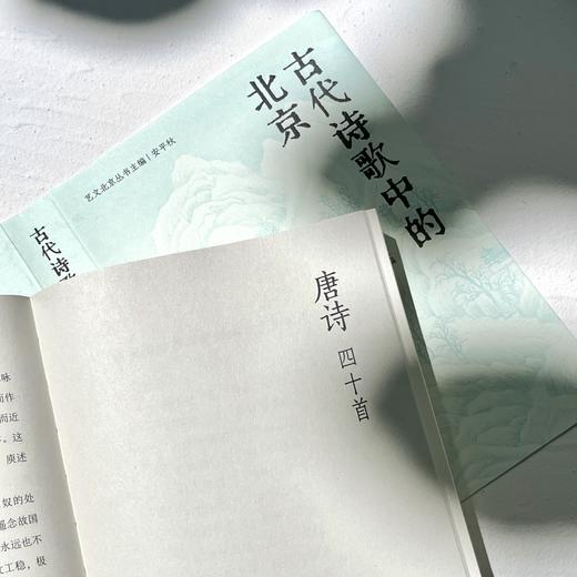 艺文北京丛书-古代诗歌中的北京   文津出版社 商品图6