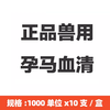 孕马血清兽用注射用血促性素母猪排卵促孕药牛羊专用发情促进排卵 商品缩略图3