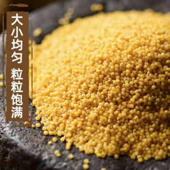 晋味美山西黄小米5斤 山西特产 小米 山西小米 小米杂粮 小米黄小米 商品图2