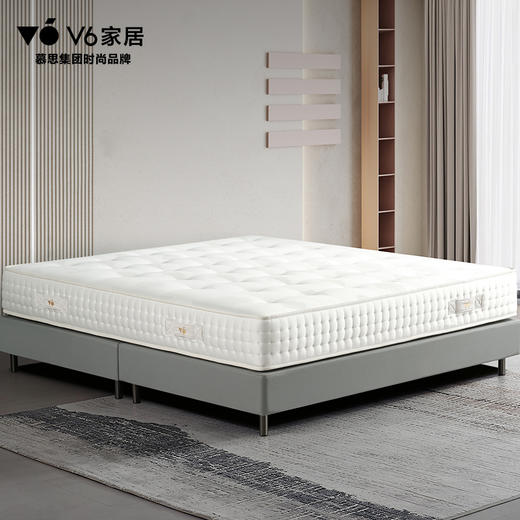 V6家居 MFB1-105睡美人夜皇后 商品图1