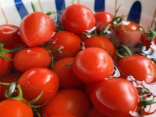 【釜山88小番茄】无药残留、自然成熟采摘，清甜爽口，果相优越，果肉细腻紧实，每一口都甜到心坎里-CC 商品图4