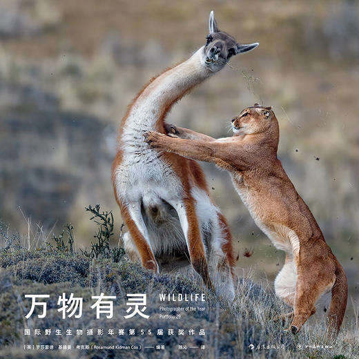 万物有灵：国际野生生物摄影年赛 第55届获奖作品 商品图1
