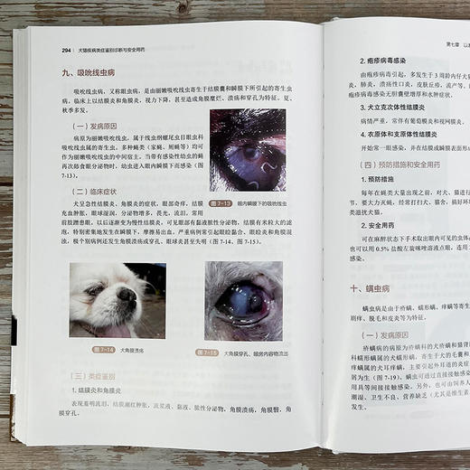 犬猫疾病类症鉴别诊断与安全用药 商品图6