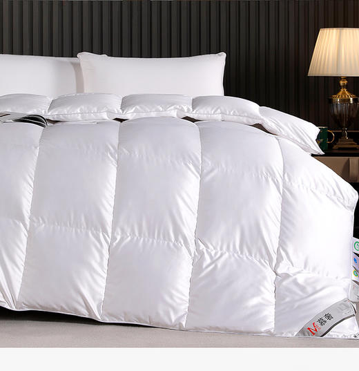 皓月羽绒被 商品图1