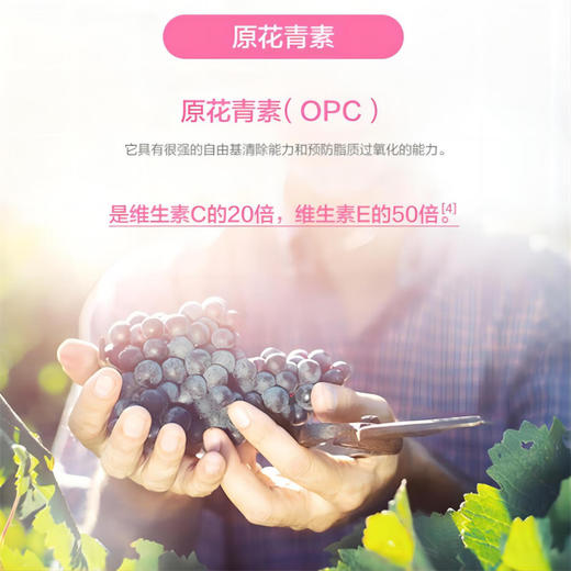 汤臣倍健  婷好青春胶囊 60粒 商品图1