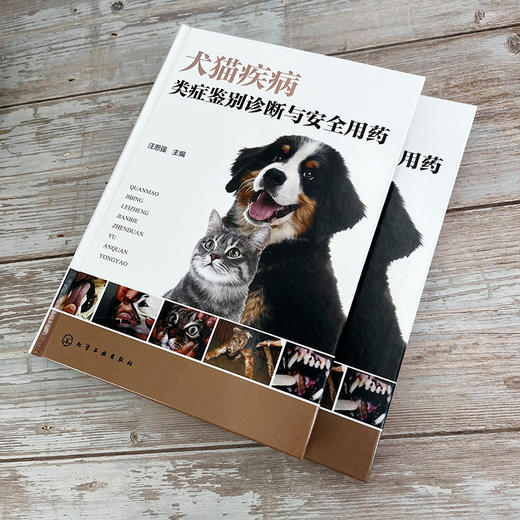 犬猫疾病类症鉴别诊断与安全用药 商品图3