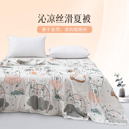 雅芳婷摩登丝夏凉被排湿透气莱赛尔莫代尔空调被夏季丝滑凉感夏被夏薄被 商品图0